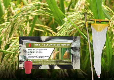 ACTIVE IPM Funnel Trap + Yellow Steam Borer Pheromone Lure , Pest Control Tool for Scirpophaga Incurtulas