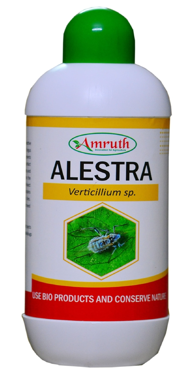 ALESTRA (Verticillium Lecanii), Moisture 30-40%, 5 X 7 cfu – gm, 108 cfu – ml.