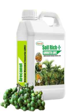 AMRUTH AMC – Amruth Arecanut Microbial Consortia, Reduces Splitting and Dropping Of Nuts
