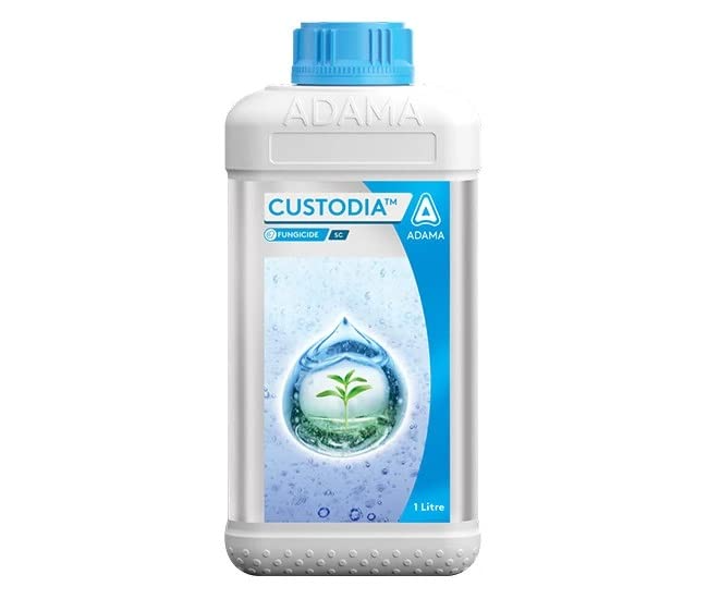 Adama Custodia Azoxystrobin 11% + Tebuconazole 18.3% ww SC, Broad Spectrum Fungicide