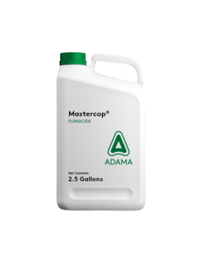 Adama Mastercop Copper Sulfate Pentahydrate 23.99% Fungicide, Release Of Copper Ions For Faster Activity On Pathogens Present On The Leaves