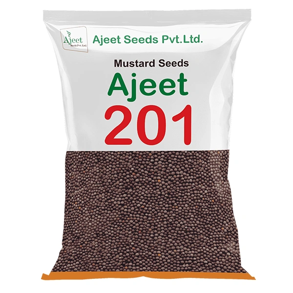 Ajeet-201 Mustard Seeds, Sarso Ke Beej, Excellent Yield And Good Oil Percentage