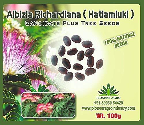 Albizia Richardiana (Hatiamiuki) Tree Seeds enhance the beauty of garden, landscapes, commercial crops
