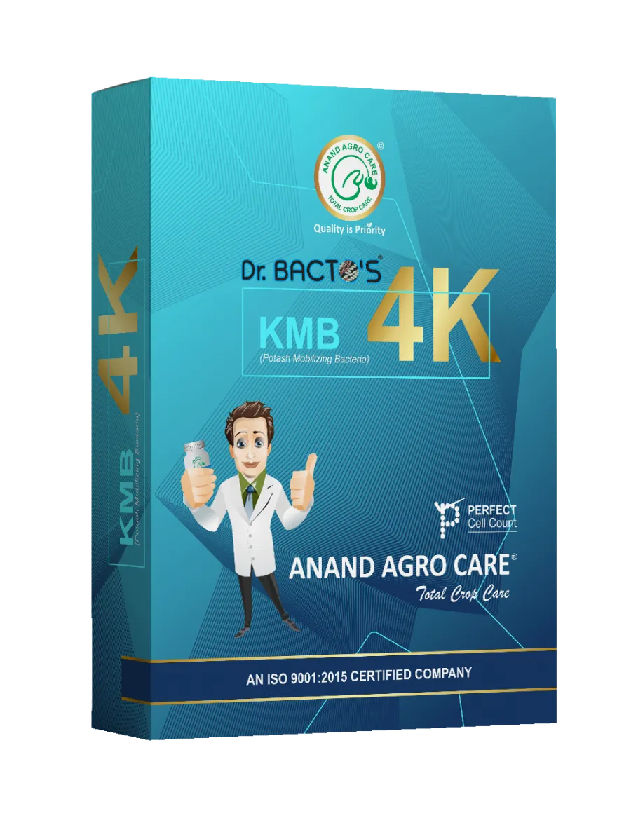 Anand Agro Care Dr. Bacto’s KMB 4K (Potash Mobilizing Bacteria) Increases Crop Productivity And Yield
