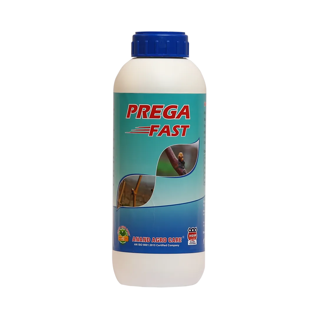 Anand Prega Fast (Flowering Stimulant), Increases Number of Flower In Plant And Yield, Reduces Flower And Fruit Drop