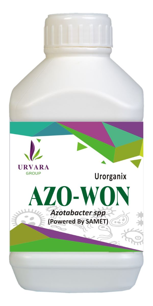 Azowon – Azotobacter spp for Nitrogen fixing in the soil naturally for easy absorption of nitrogen by roots