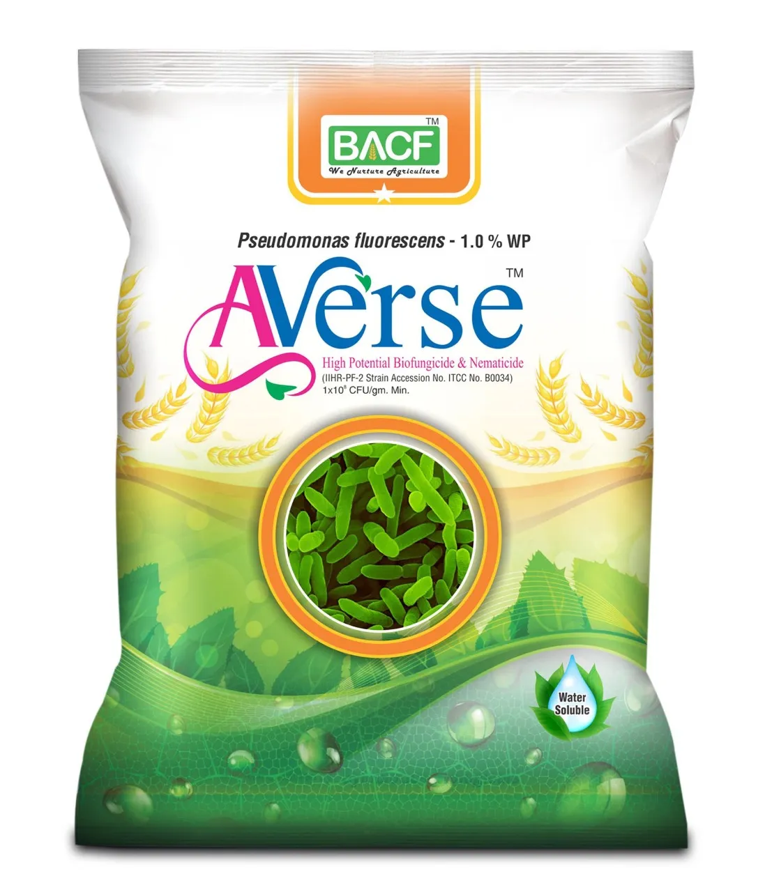 BACF Averse Pseudomonas fluorescens 1%WP Bio Pesticide , Selective Bio-Agent And Effectively Controls Soil-Borne