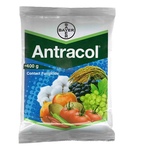 Bayer Antracol Propineb 70% WP, A Contact, Systemic Fungicide with Broad-Spectrum Activity