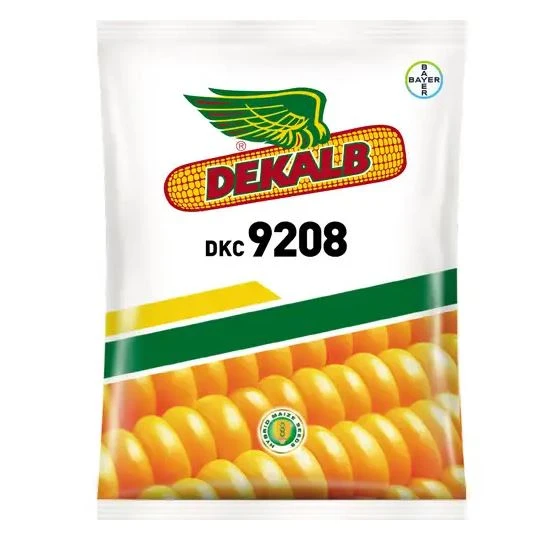 Bayer Dekalb Corn DKC 9208 Seed, High Yielding Spring Hybrid, Corn Seeds.
