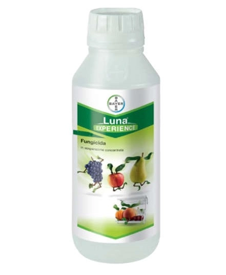Bayer Luna Experience – Fluopyram 17.7% + Tebuconazole 17.7% ww SC Systemic Fungicide