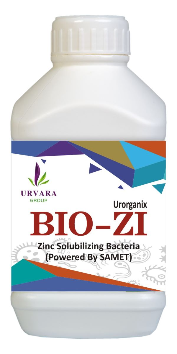 Biozi – Zinc Solubilising Bacteria for Zinc mobilization in the soil for easy absorption of zinc byroots from the soil