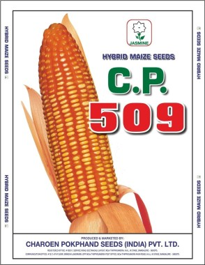 CP 509 Maize Seeds, Hybrid Seeds, Makka Seeds, Best For Commercial Farming