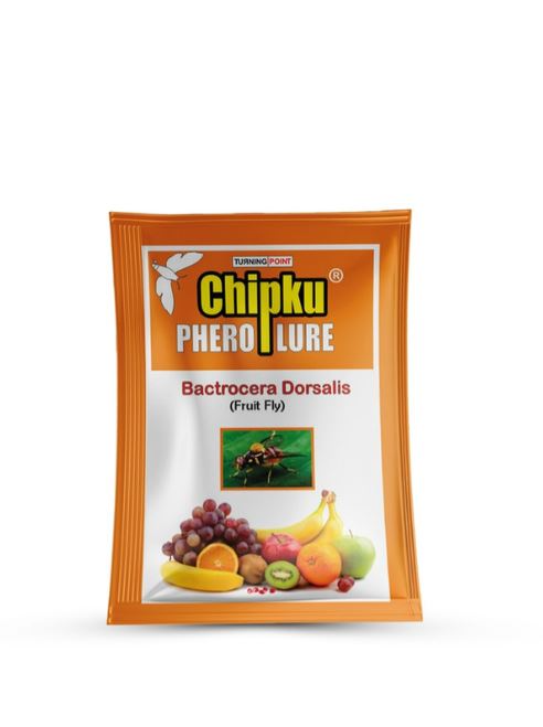 Chipku Fly Magnet Oriental Fruit-Fly Bactocera Dorsalis Catcher with Attractant Lure for Mango, Sapota, Papaya, Guava.