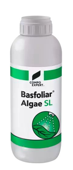 Compo Expert Basfoliar Algae Sl Bio-Stimulates, Based On Durvillea Antarctica Seaweed Extract, Plus Essential Minerals