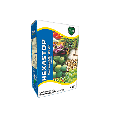 Coromandel Hexastop Thiophanate methyl 70% WP Fungicide, Highly Effective In Controlling Fungal Diseases