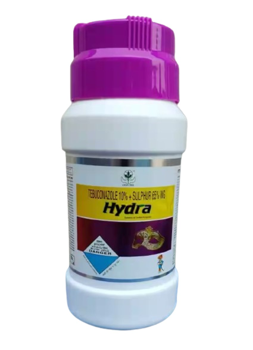 Crop Care Hydra Tebuconazole 10% + Sulphur 65% WDG Fungicide , Protective, Creative And Eradicative Action