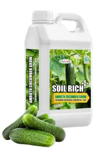 Cucumber Grow – Biological Fertilizer For Enhancing Length, Weight And Shelf Life Of Cucumber