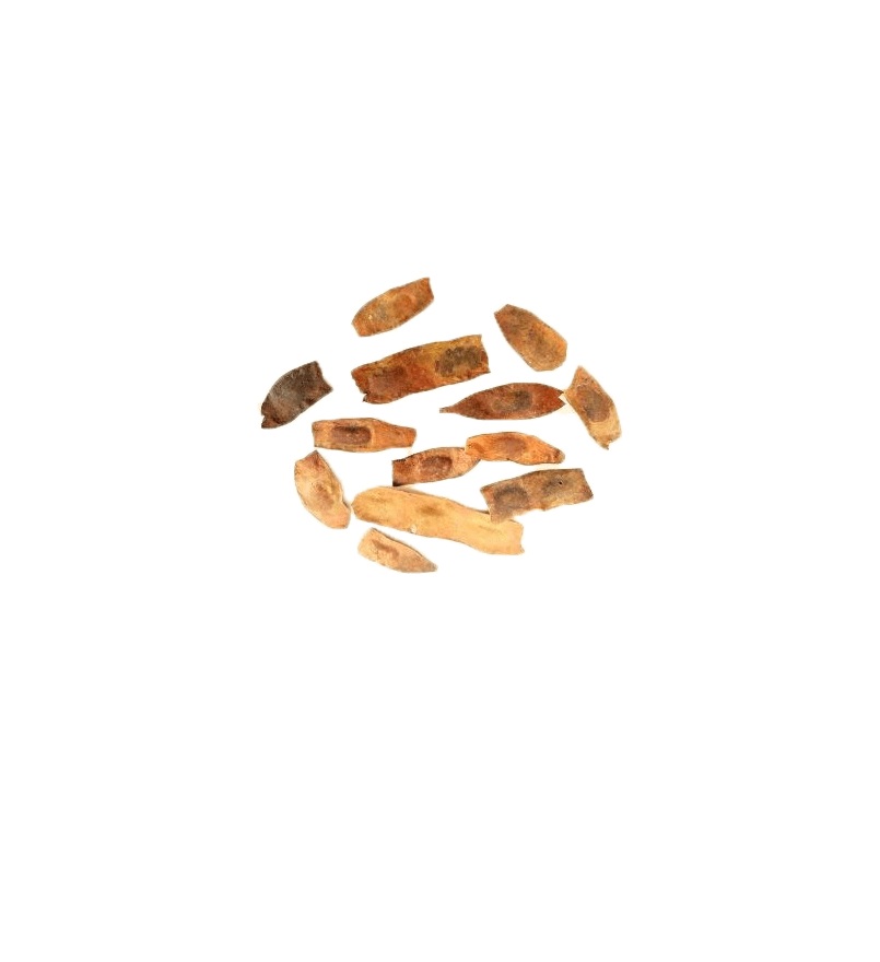 Dalbergia Latifolia (Rose wood) Tree Seed enhance the beauty of garden, landscapes, commercial crops, etc.