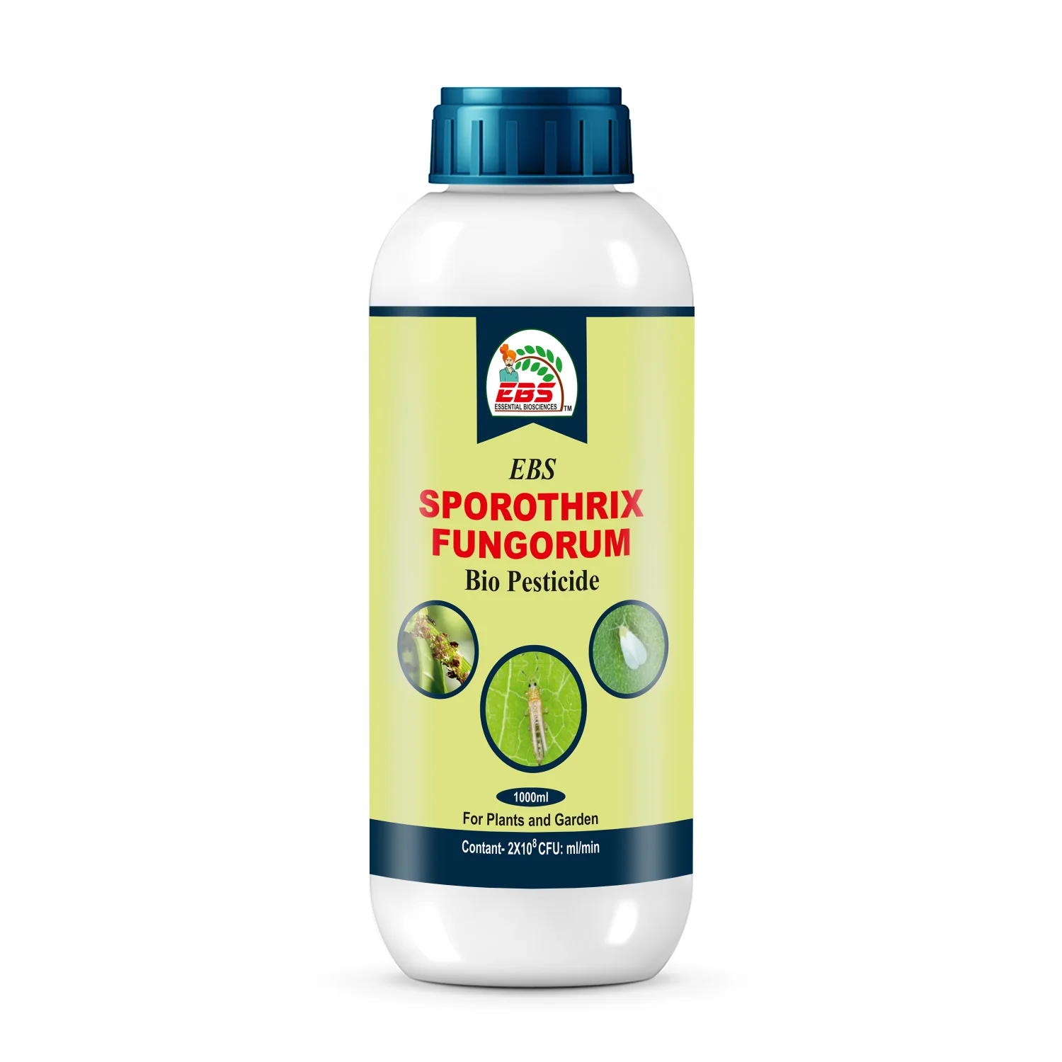EBS Sporothrix Fungorum Bio Pesticide, Control All Types Of Mites On All Crops