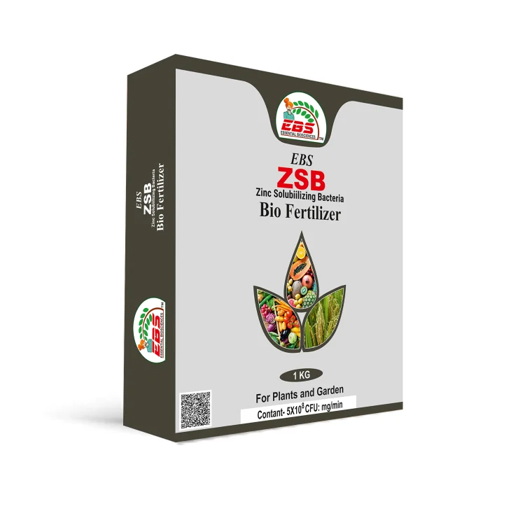EBS Zinc Solubilizing Bacterial Bio Fertilizer 5×10^8 (ZSB), For All Plants And Home Garden, Ecofriendly