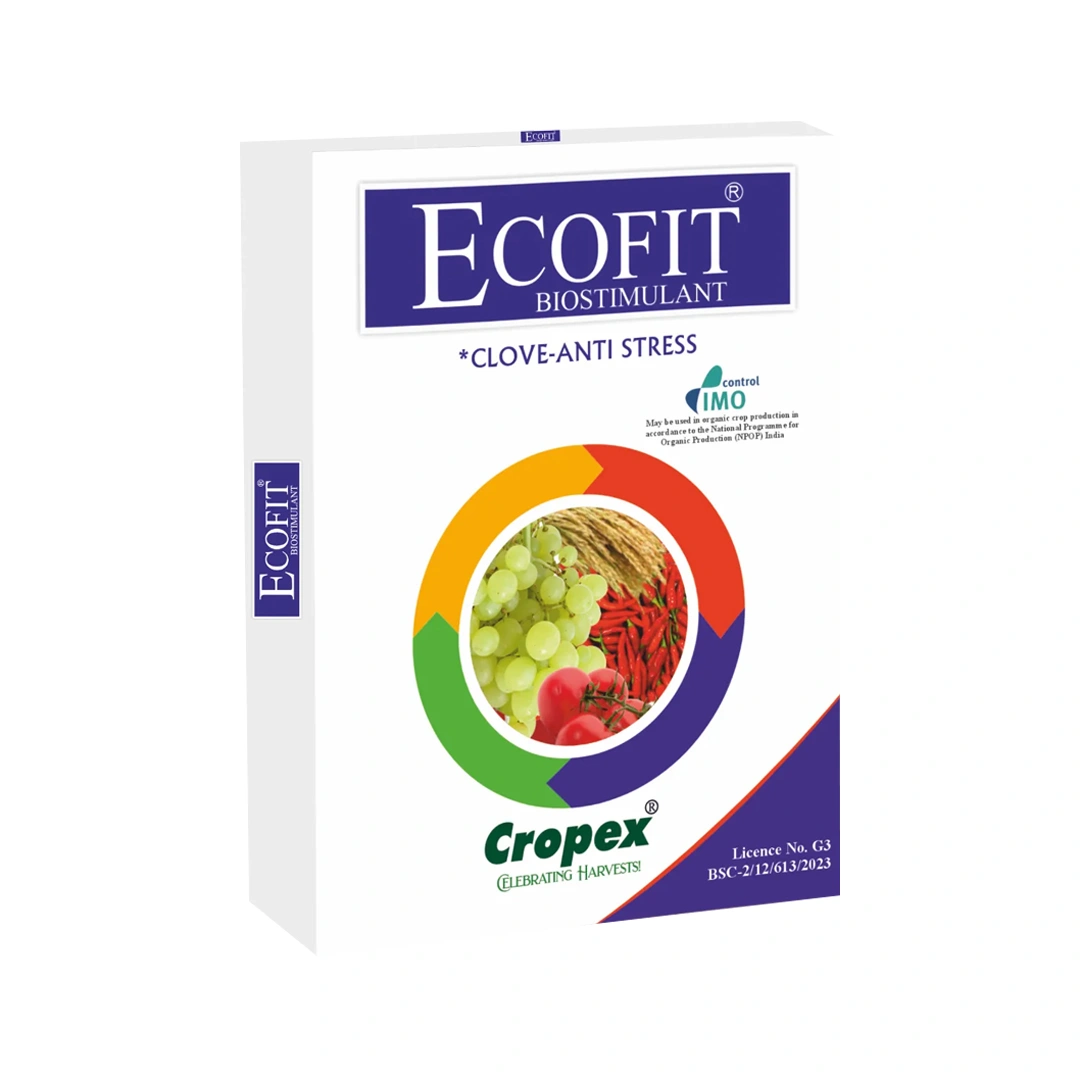 Ecofit Biostimulant, Clove Anti Stress (IMO Certified). Used in Crops : Paddy, Potato, Tomato, Grapes, Mango,Brinjal, Okra, Bitter Gourd, Pomegranate.