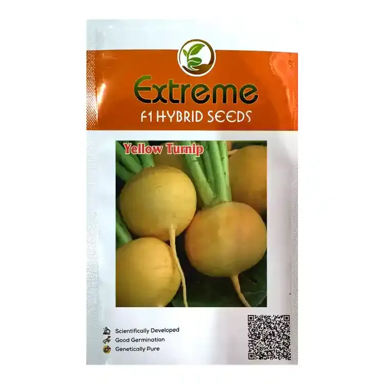 Extreme Yellow Turnip Madhu F1 Hybrid Seeds, Open Pollinated, Globe Round Shape