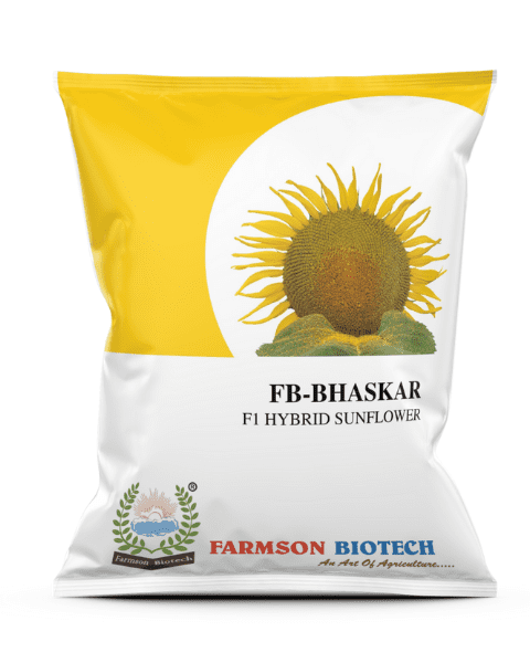 Farmson FB Bhaskar F1 Hybrid Sunflower Seeds, Good Yield Potential Suitable for all Type of Soils & Agro Climatic Conditions