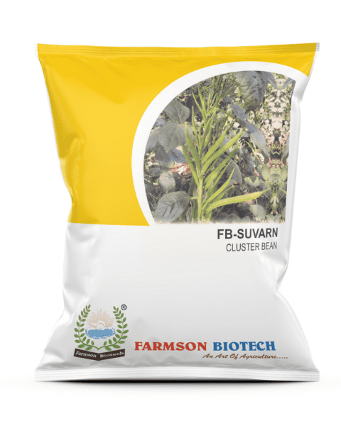 Farmson FB Suvarn Cluster Bean Seeds, Erect and Single Stem Plant, Tall Plant