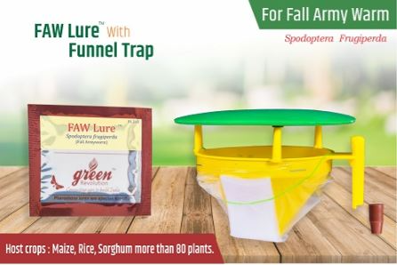 Funnel Trap With FAW (Fall Army Worm or Spodoptera frugiperda Pheromone Lure) for Maize, Rice, Sugarcane and Other Crops.