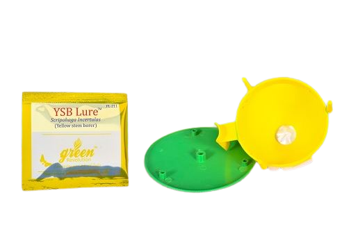 Funnel Trap With YSB Lure (Scirpophaga Incertulas) Yellow Stem Borer, Useful For Rice and Brinjal Fruit & Shoot Borer Moth.