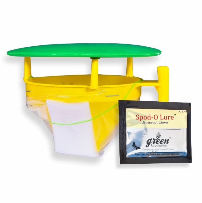 Funnel Trap with Spodo O Lure (Spodoptera Litura Pheromone) For Tobacco, Cotton, Red gram, Tomato and Chilli.