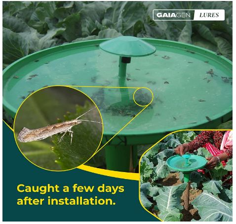 Gaiagen Diamondback Moth Pheromone Lure for Plutella xylostella, IMO Certified.