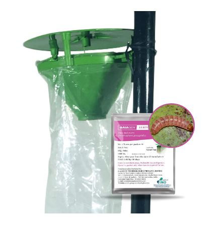 Gaiagen Pheromone Lure for Pink Bollworm (Pectinophora Gossypiella) And Insect Funnel Trap, IMO Certified.