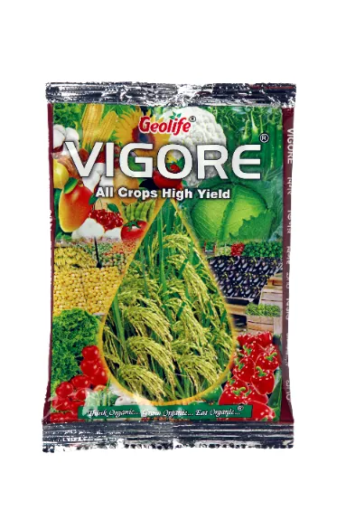 Geolife Vigore Superior Organic Yield Enhancer, Increasing Crop Production, Complete Plant Development From Root to The Shoot