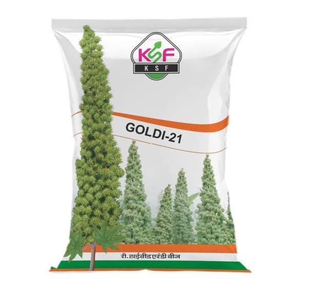 Goldi 21 Re. Hybrid Castor Seed – Arandee Ke Beej, Field Crop Seeds, High Yielding Variety