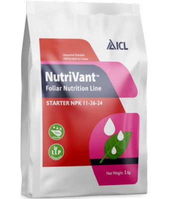 ICL Nutrivant Starter Npk 11:36:24 Macronutrients Essential for Plant Growth, Foliar Fertilizer