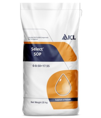 ICL Water Soluble SOP 00:00:50 + 17.5S Potassium Sulphate Fertilizer, Specially Formulated for Hydroponics