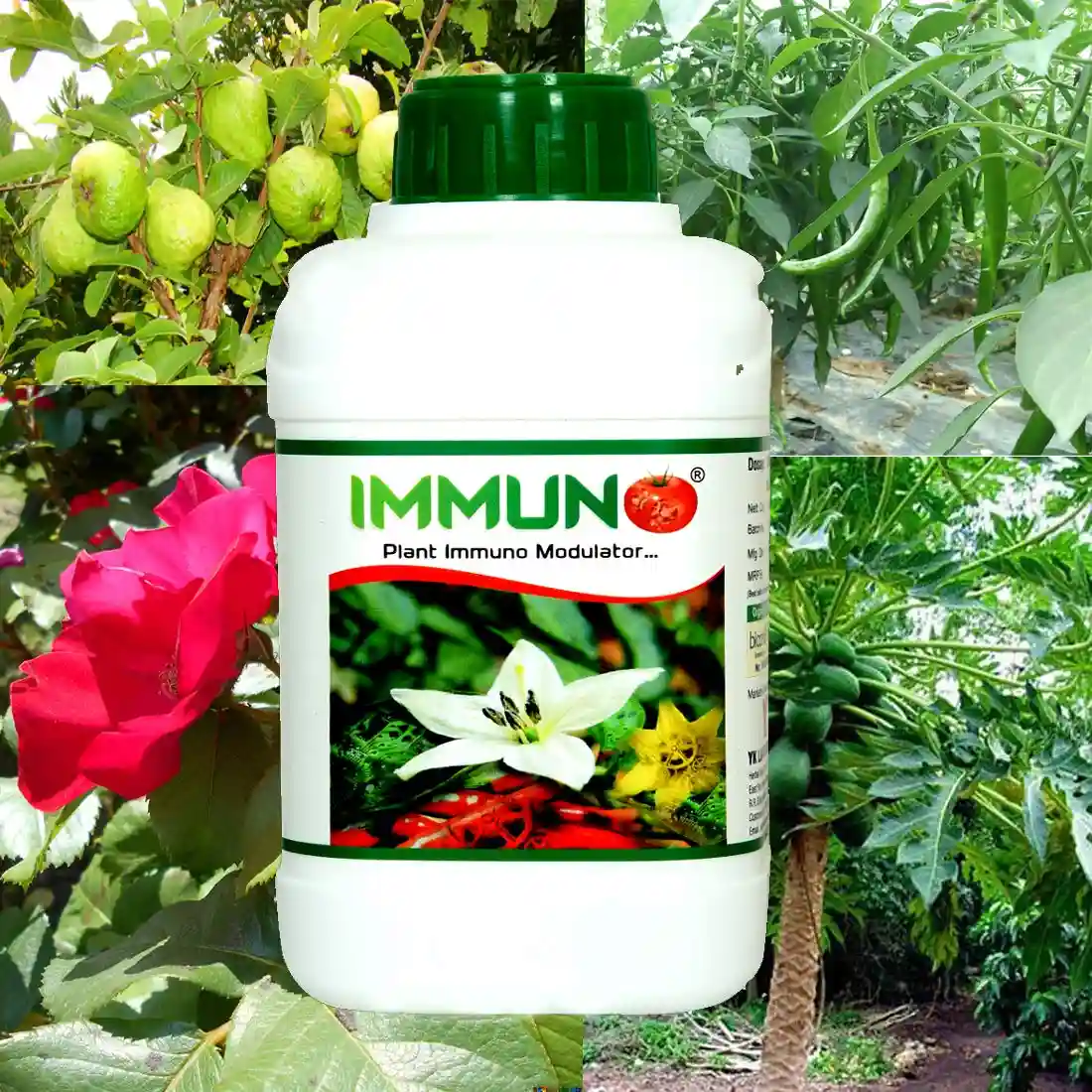 IMMUNO Flower Booster, Flower Stimulator, Boost Up The Immune System, Better Flower Enhancer.