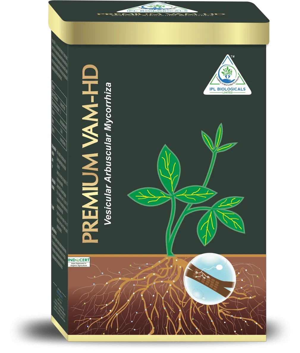 IPL Premium VAM HD (Vesicular Arbuscular Mycorrhiza) Bio Fertilizer, Boosts Overall Plant Development And Root Growth.