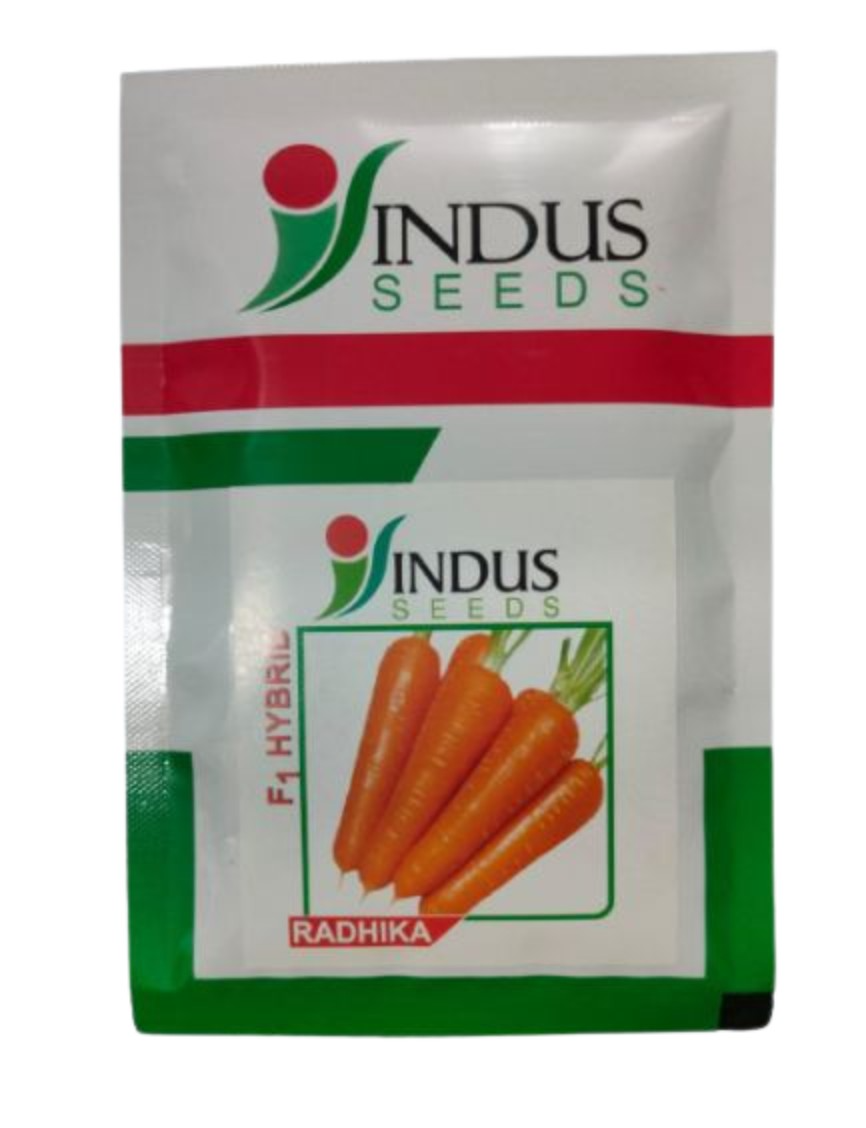 Indus Hybrid Carrot Radhika Seeds, Uniform Smooth Skinned Roots, Suitable For Cultivation In Winter.