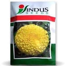 Indus Marigold Tennis Ball Seeds, Genda Fool Seeds , Lemon Yellow Colour Flower , Very Heavy Yeild , 100 Seeds Pack