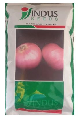 Indus Red Onion Seeds , Pyaaj Ke Beej, Kanda Na Bee, Long Storage Capacity Agribegri Online.