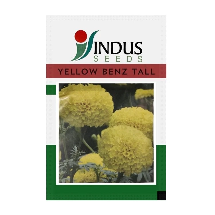 Indus Yellow Benz Tall F1 Hybrid Marigold Flower Seeds, Vibrant Lemon Yellow Blooms