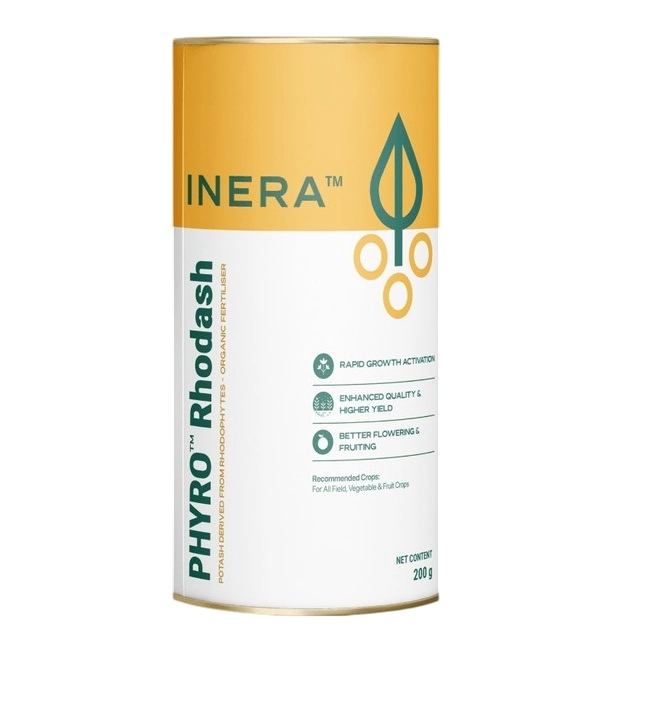 Inera Phyro Rhodash Potash Derived From Rhodophytes, Organic Fertilizer, Boost Soil Health and Crop Yield Naturally