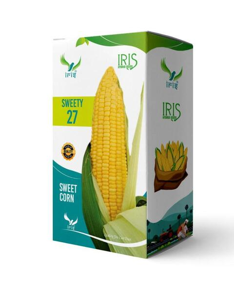 Iris F1 Hybrid Sweety 27 Sweet Corn Seeds, Fruit Color Yellow, Maturity In 72-78 Days
