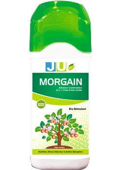JU Morgain Biostimulant , Based on Highly Concentrated L Free Amino Acid Derived from Vegetal Origin