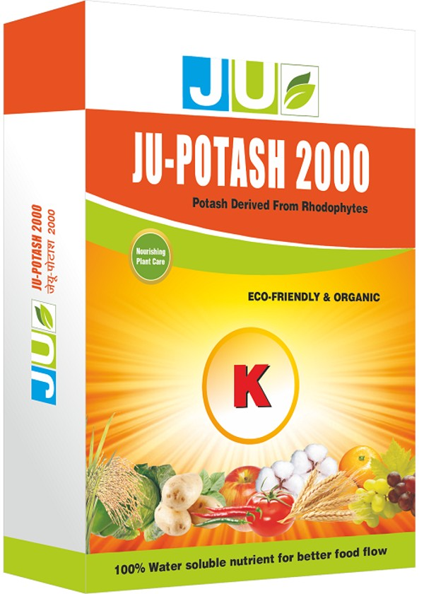 JU Potash 2000 Water Soluble Fertilizer, Which Is Derived From Rhodophytes Containing 20% of Organic Potash
