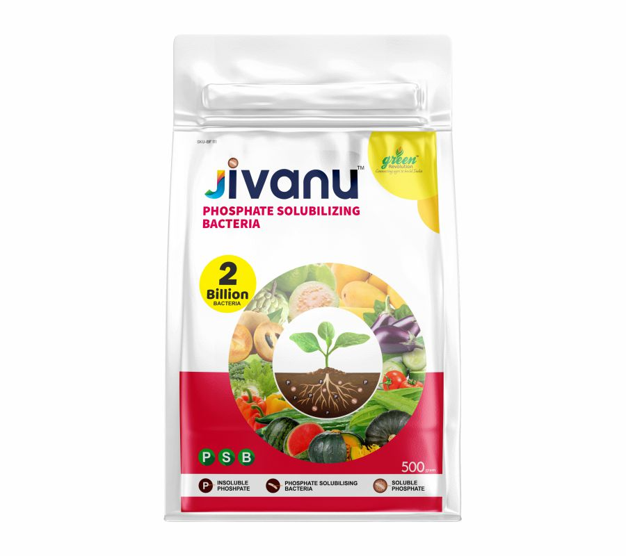 Jivanu Phosphate Solubilizing Bacteria Bio Fertilizers, Increase Stem Strength