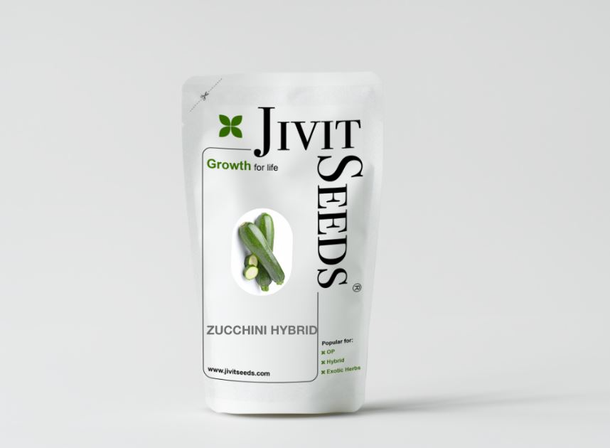 Jivit F1 Hybrid Zucchini Seeds Arjun Light Green, Early Maturity, Vigorous Growing Bush With Early Maturity.