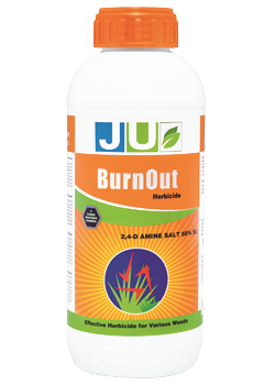 Ju Burn Out , 2-4-D Amine Salt 58 SL, Post- Emergent Systemic Herbicide For Control Of Broad Leaf Weeds In a Range of Crops and Aquatic Conditions